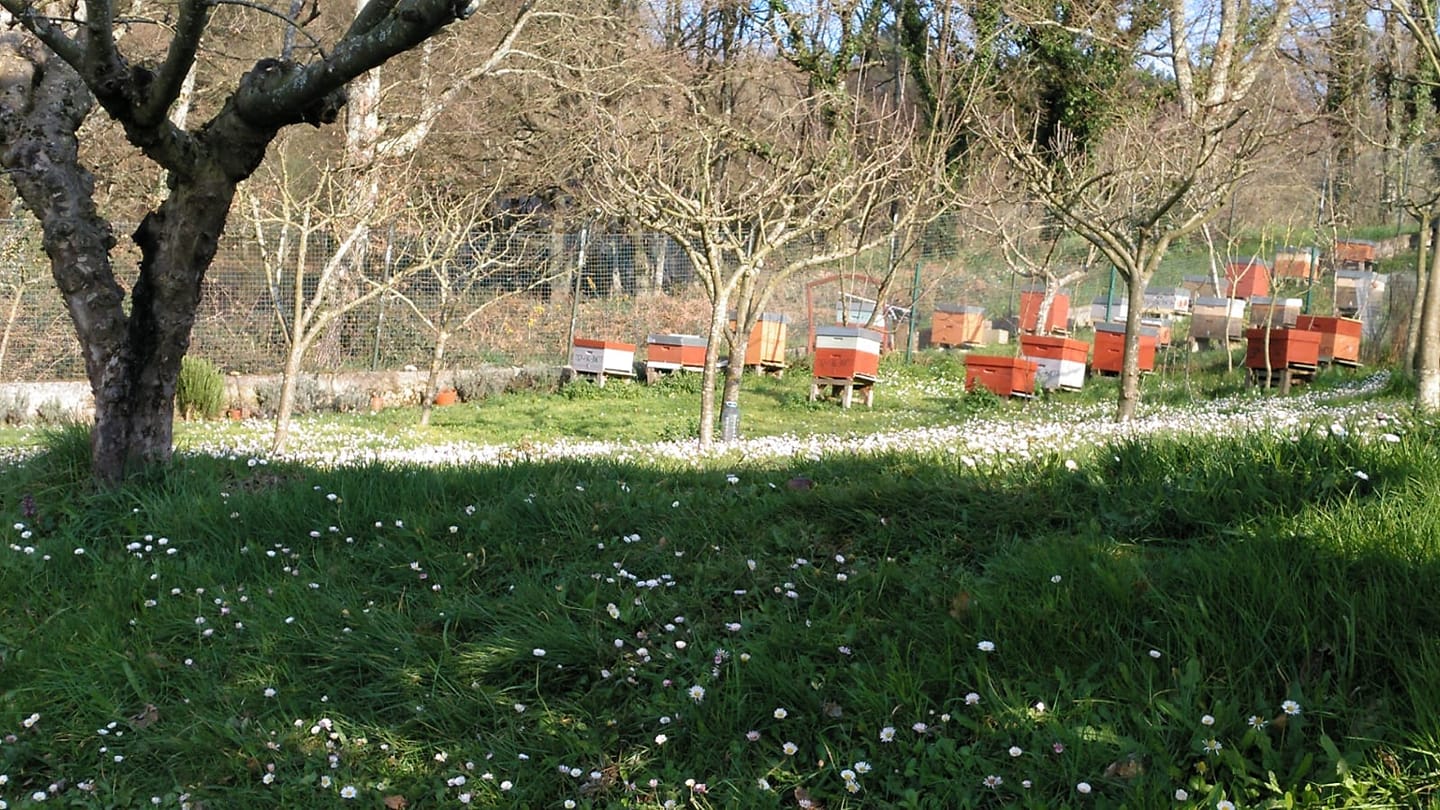 Detalle do mel artesá