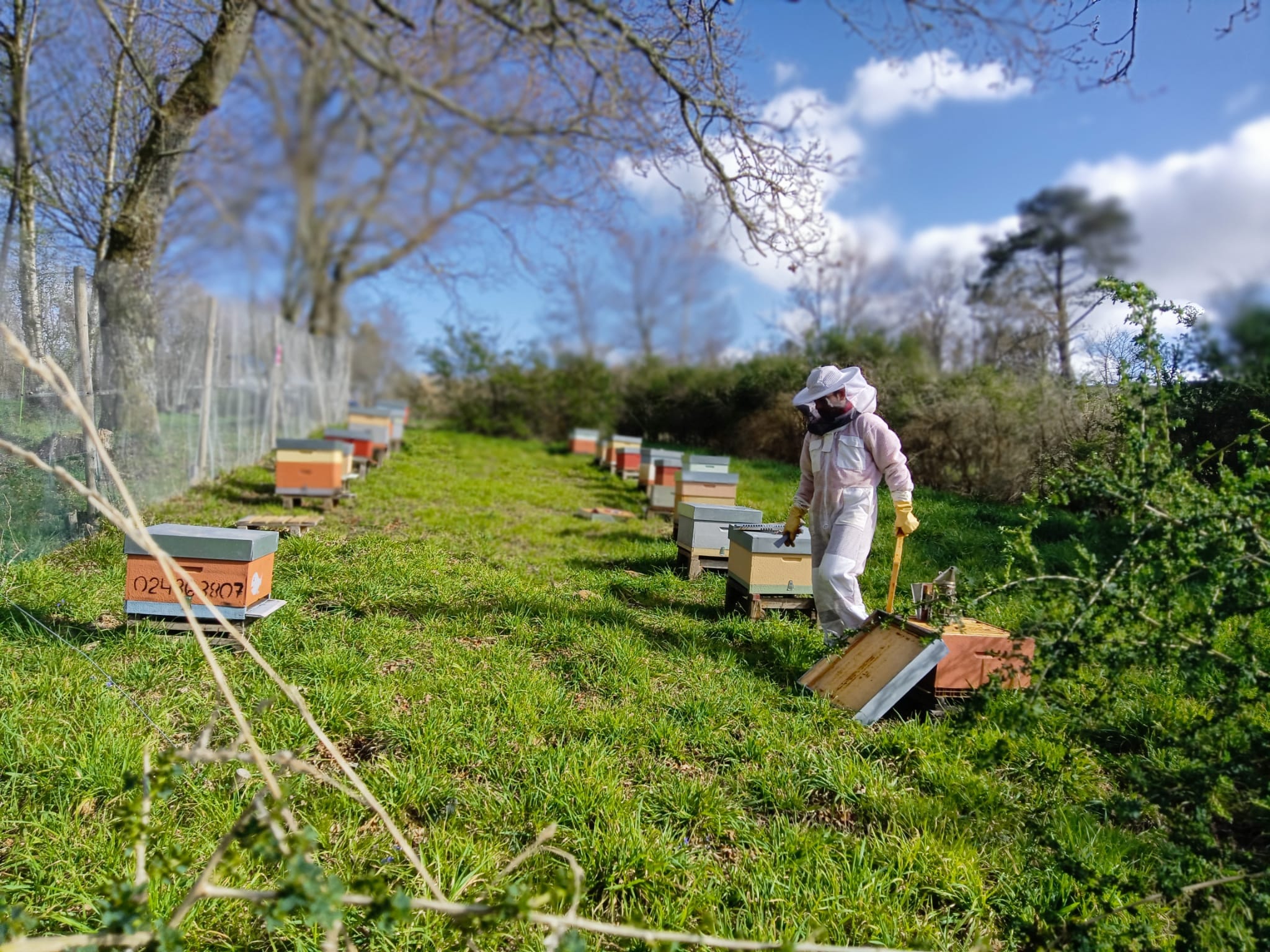 Vista do mel e a paisaxe galega